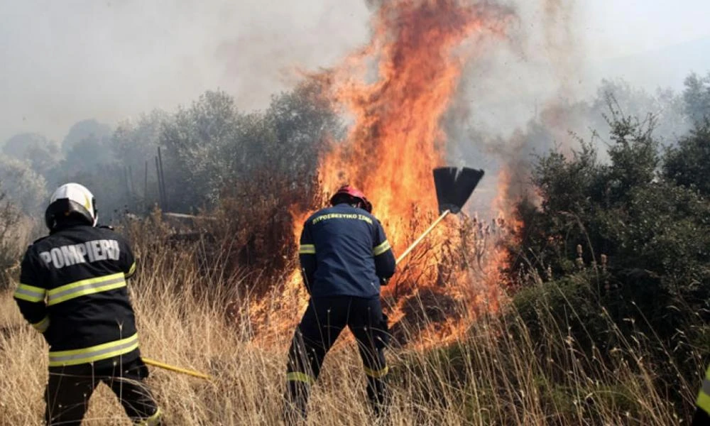 Φωτιά τώρα στην Εύβοια – Σε δασική έκταση στην Ερέτρια